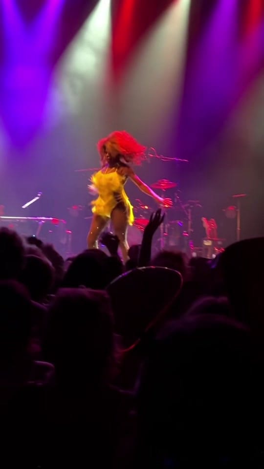 Post 8 by Laveau Contraire on TikTok (video)