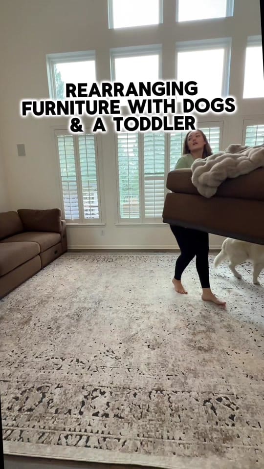 Post 5 by Leo the Golden Retriever on TikTok (video)