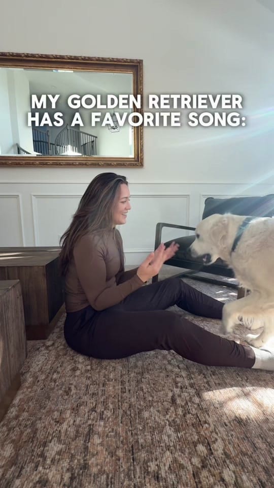 Post 2 by Leo the Golden Retriever on TikTok (video)