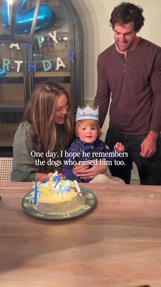 Post 3 by Leo the Golden Retriever on TikTok (video)