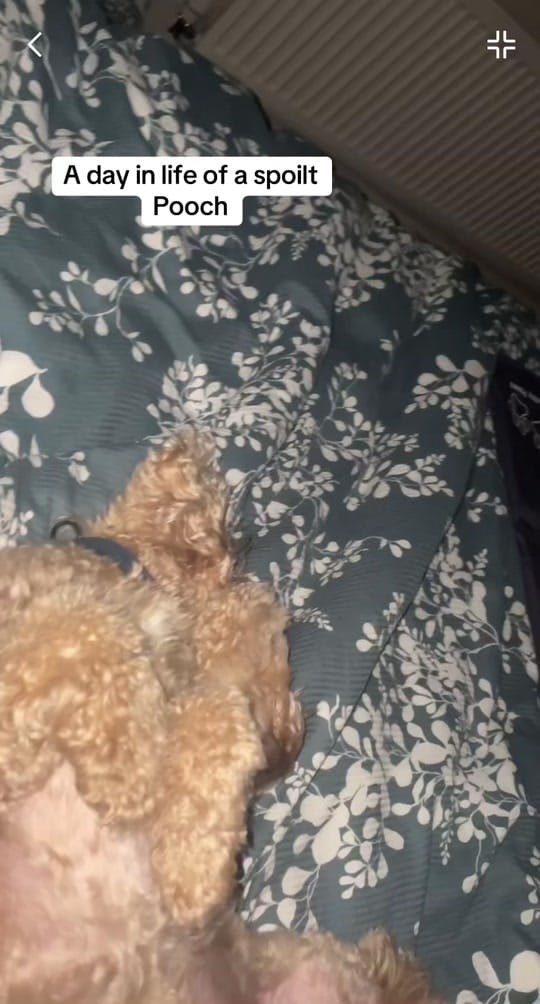 Post 3 by RayRay 💥 on TikTok (video)
