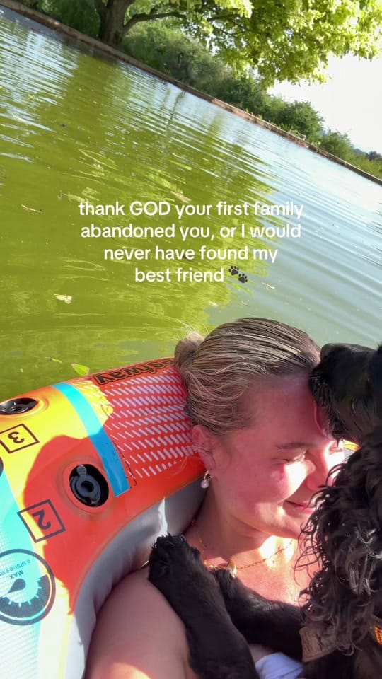 Post 6 by Annabelle Brockwell on TikTok (video)