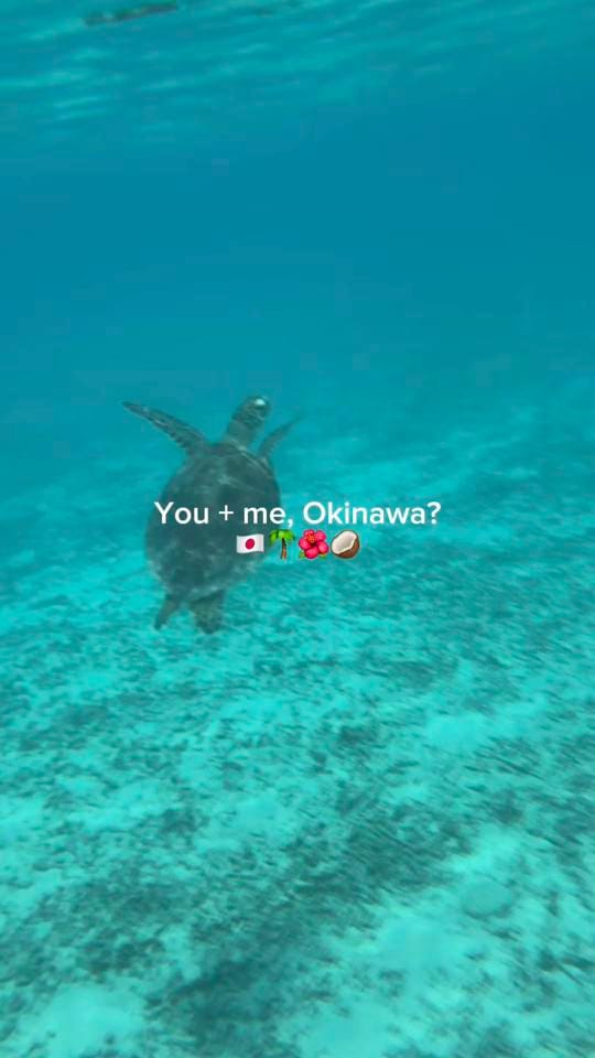 Post 7 by Steph | Travel & lifestyle on TikTok (video)