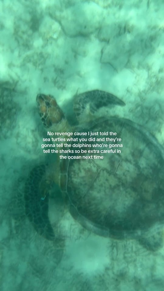 Post 2 by Steph | Travel & lifestyle on TikTok (video)