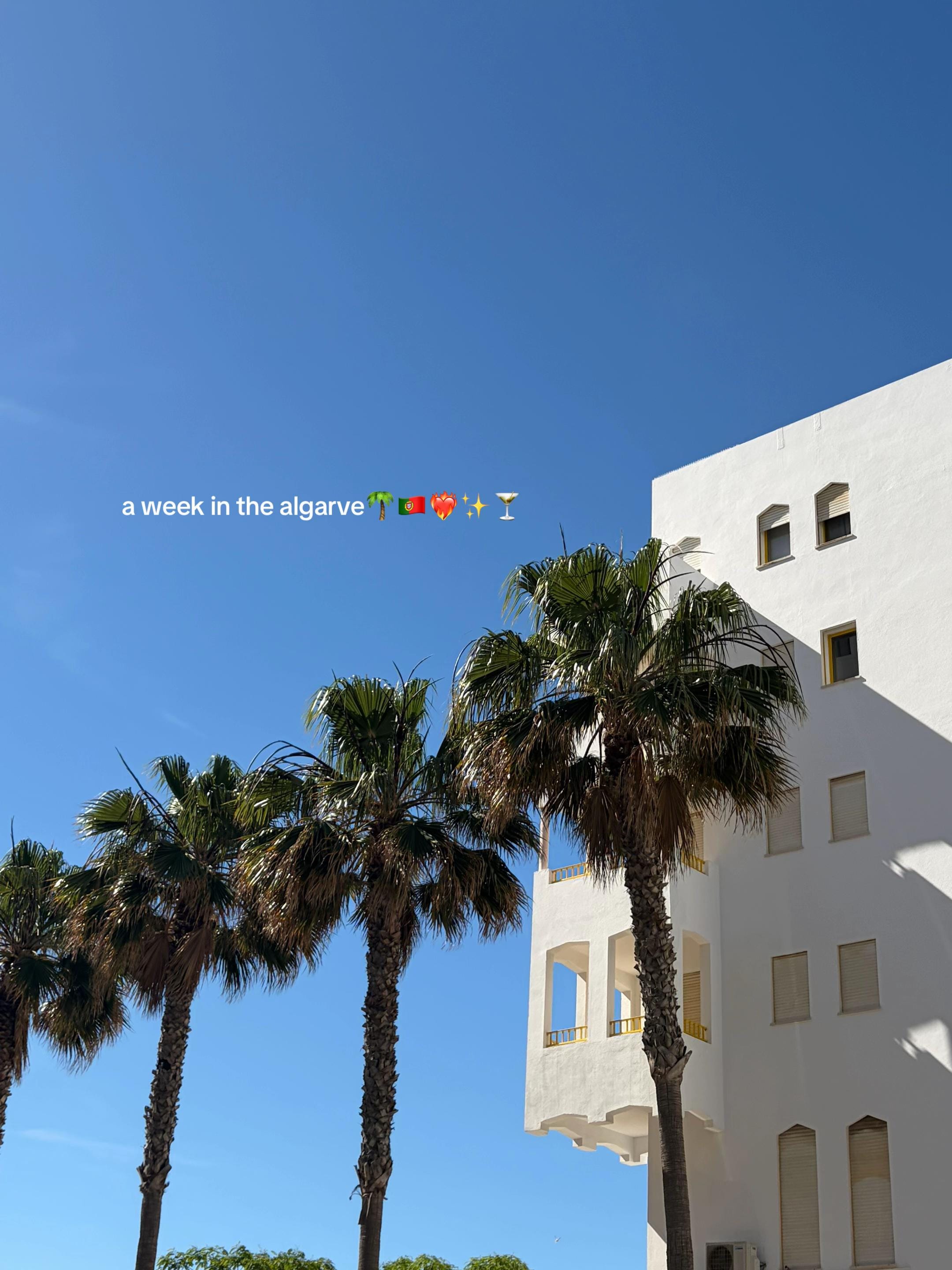 Post 6 by erin 🌍🛩️🌈✨ on TikTok (video)