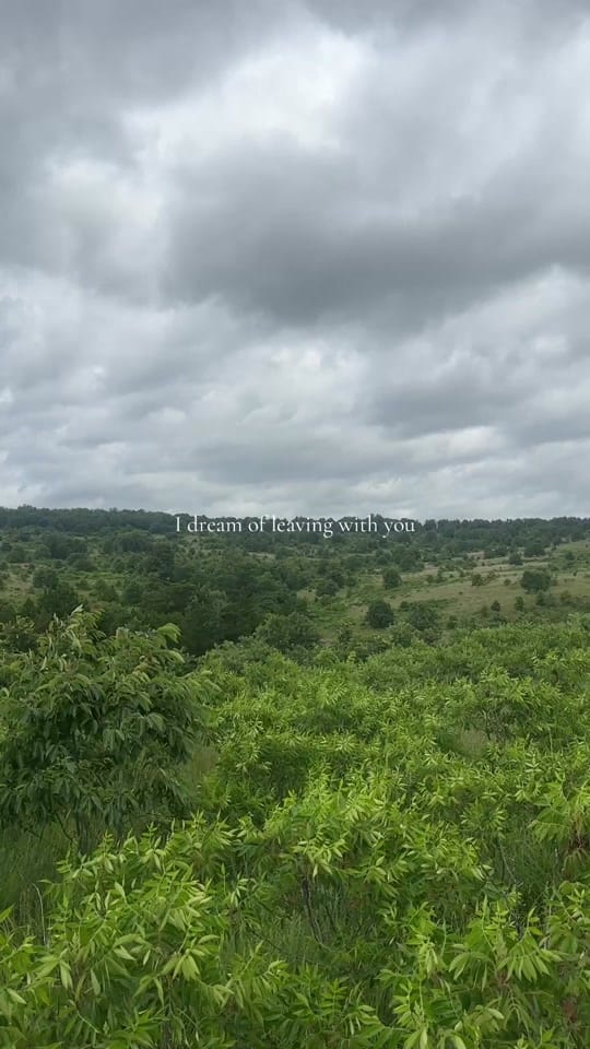 Post 4 by Jachin McDonald on TikTok (video)