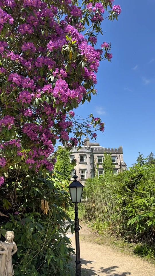 Post 3 by Romantic Castles of Ireland on TikTok (video)