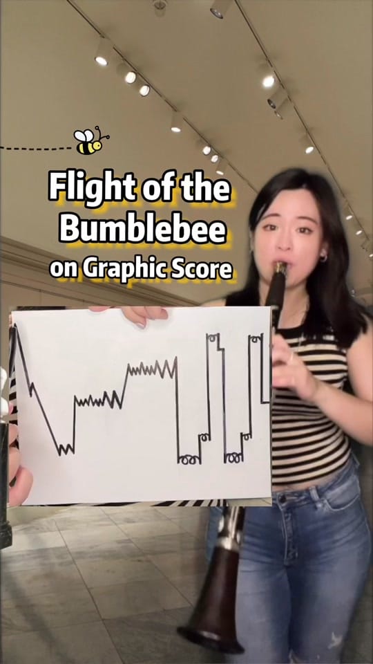 Post 9 by Dr. YuTing Clarinetist on TikTok (video)