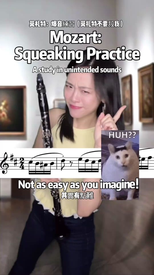 Post 7 by Dr. YuTing Clarinetist on TikTok (video)