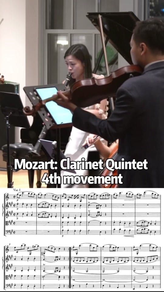Post 2 by Dr. YuTing Clarinetist on TikTok (video)