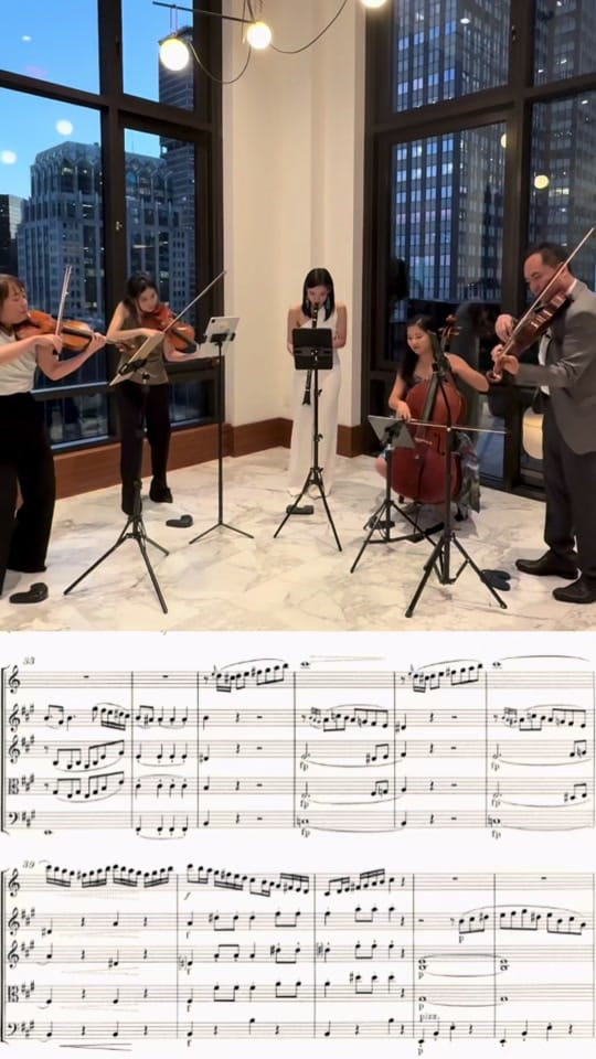 Post 4 by Dr. YuTing Clarinetist on TikTok (video)