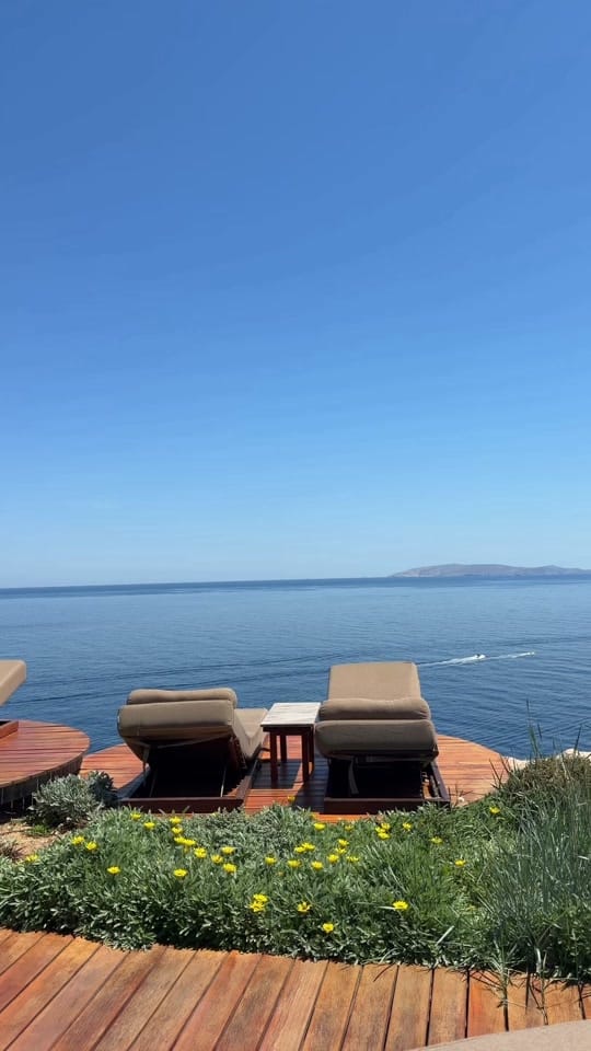 Post 5 by Bo on TikTok (video)