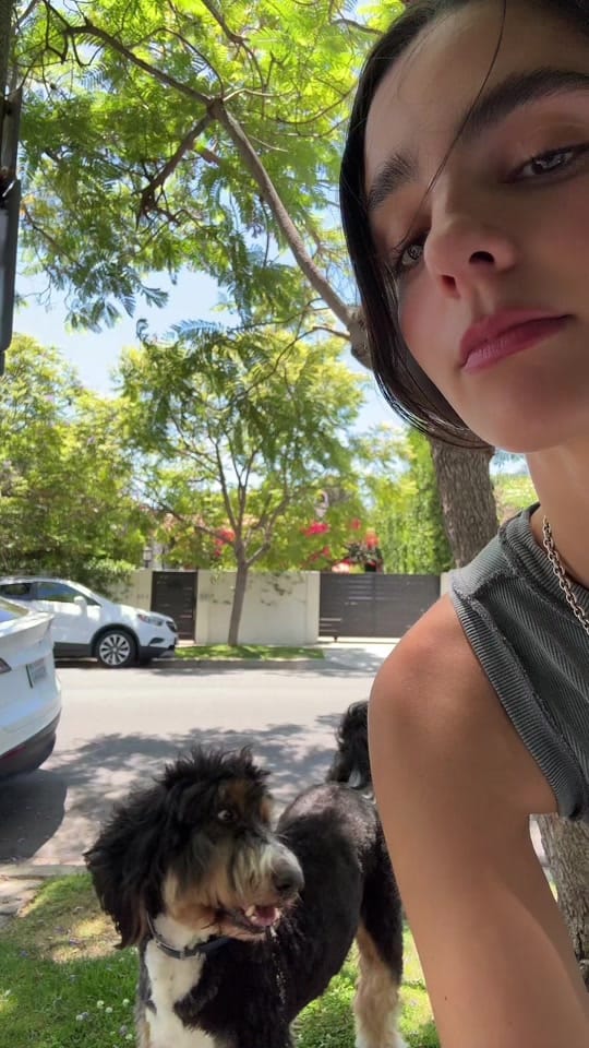 Post 8 by gretelroux on TikTok (video)