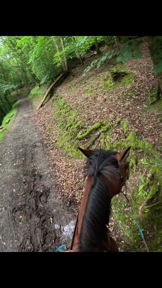 Post 6 by Kayleigh Tonkins on TikTok (video)