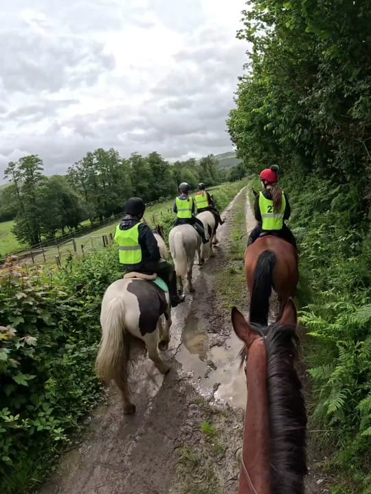 Post 5 by Kayleigh Tonkins on TikTok (video)