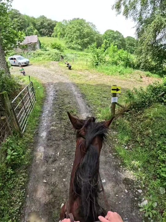 Post 1 by Kayleigh Tonkins on TikTok (video)