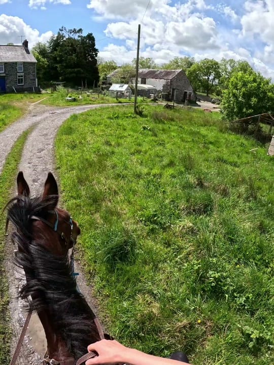 Post 9 by Kayleigh Tonkins on TikTok (video)