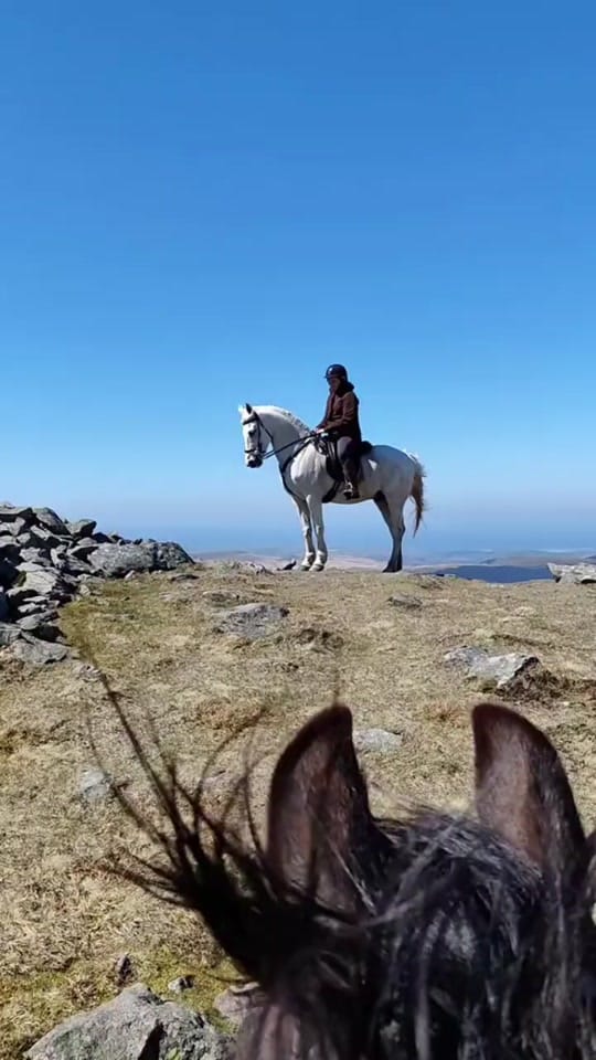 Post 8 by Kayleigh Tonkins on TikTok (video)