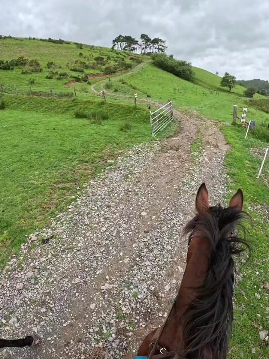 Post 3 by Kayleigh Tonkins on TikTok (video)