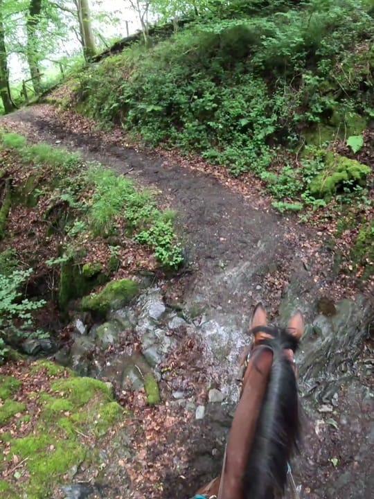 Post 4 by Kayleigh Tonkins on TikTok (video)