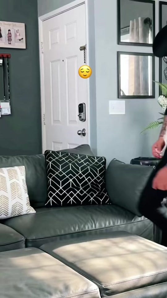 Post 1 by Rover on TikTok (video)