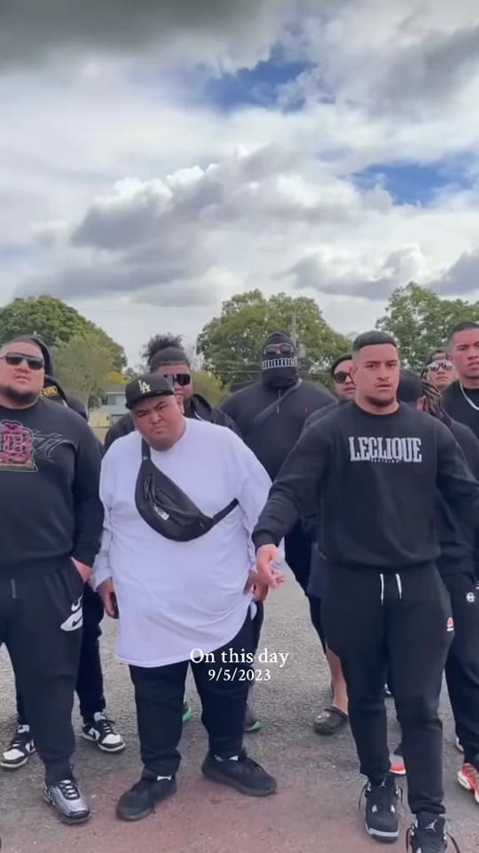 Post 9 by Marvelous Malimar on TikTok (video)