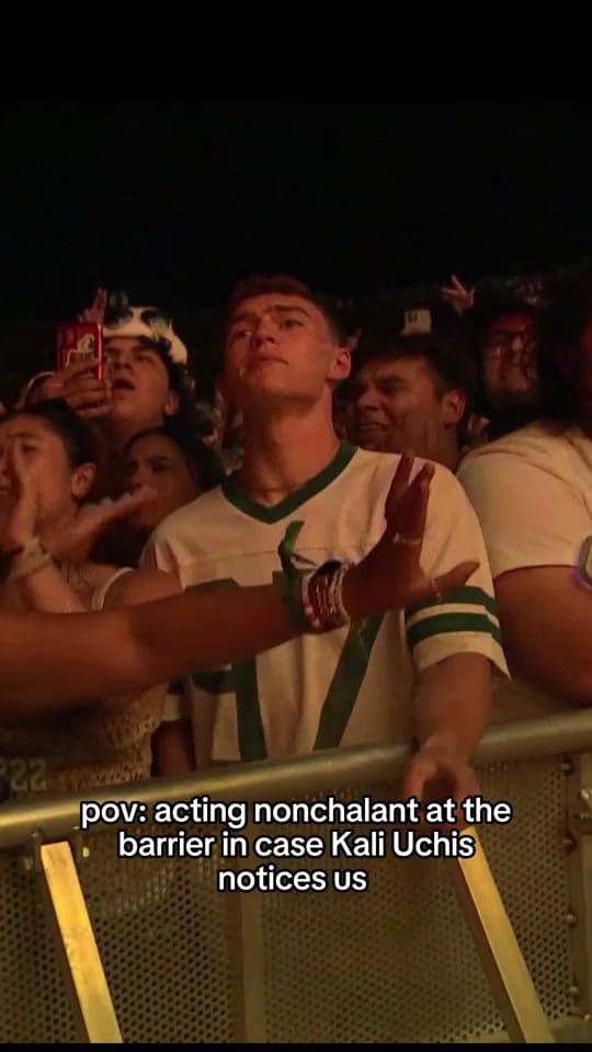 Post 7 by Hinterland Music Festival on TikTok (video)