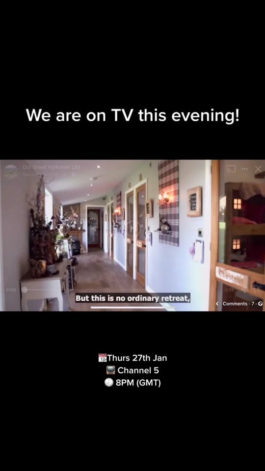 Post 5 by The Ings Luxury Cat Hotel on TikTok (video)