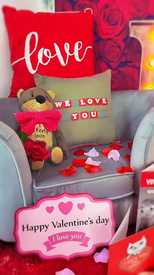Post 3 by The Ings Luxury Cat Hotel on TikTok (video)