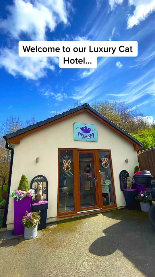 Post 1 by The Ings Luxury Cat Hotel on TikTok (video)