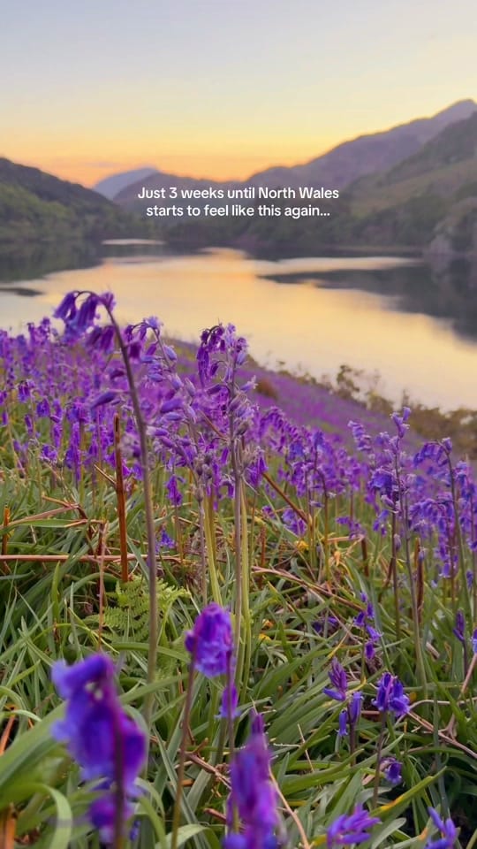 Post 4 by North Wales Adventures on TikTok (video)