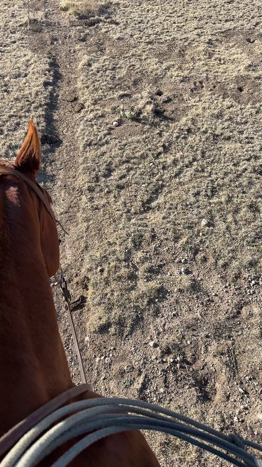 Post 7 by Ryan Buschman on TikTok (video)