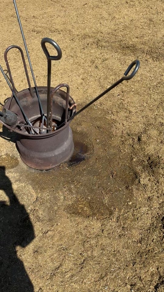 Post 6 by Ryan Buschman on TikTok (video)