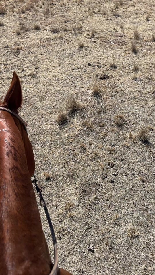 Post 10 by Ryan Buschman on TikTok (video)