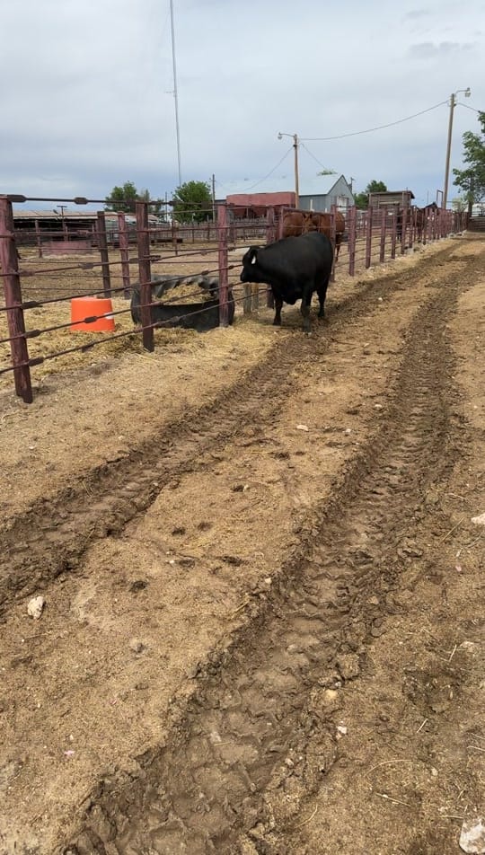 Post 1 by Ryan Buschman on TikTok (video)