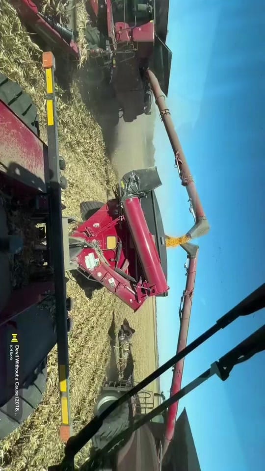 Post 8 by Jerod Taylor on TikTok (video)