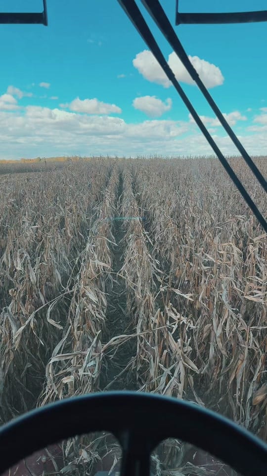 Post 5 by Jerod Taylor on TikTok (video)