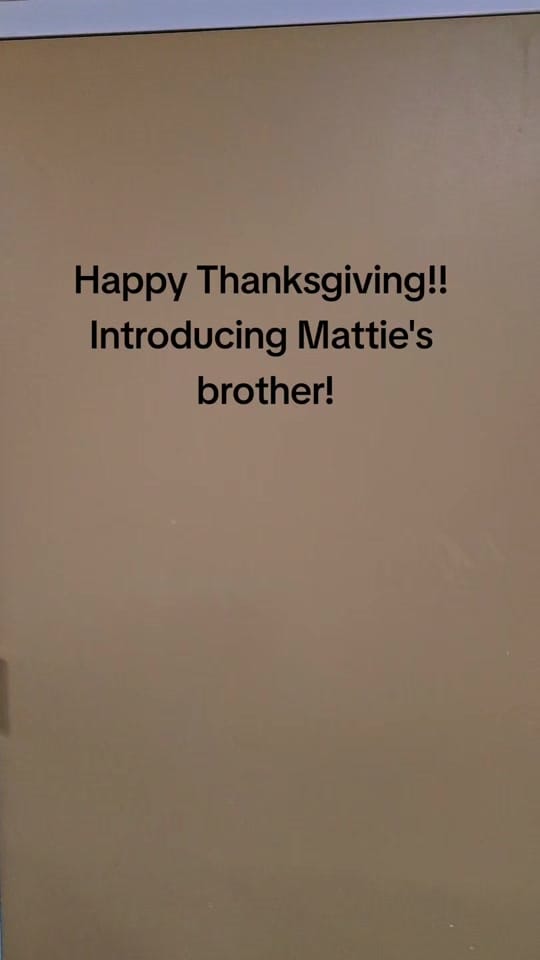 Post 2 by Rufus&Mattie on TikTok (video)