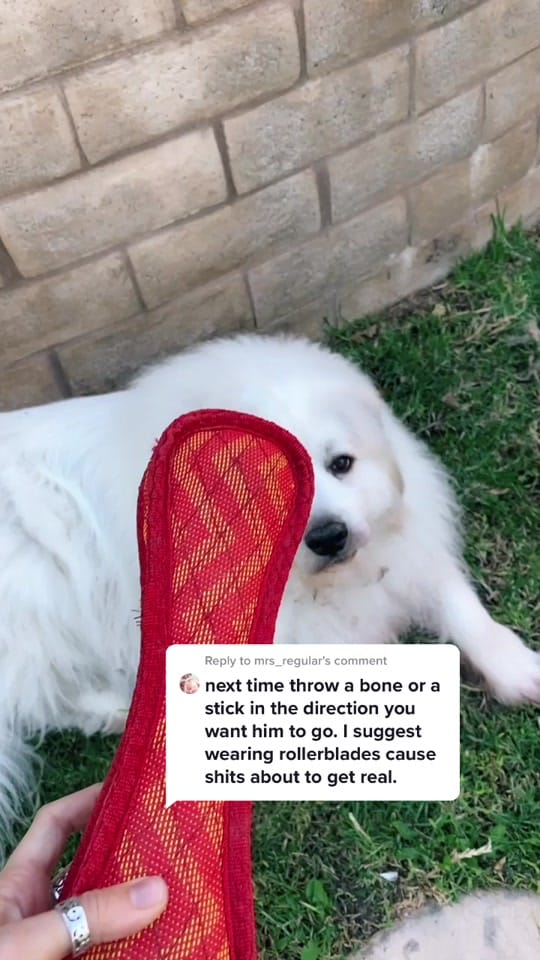 Post 4 by stephdemirj on TikTok (video)