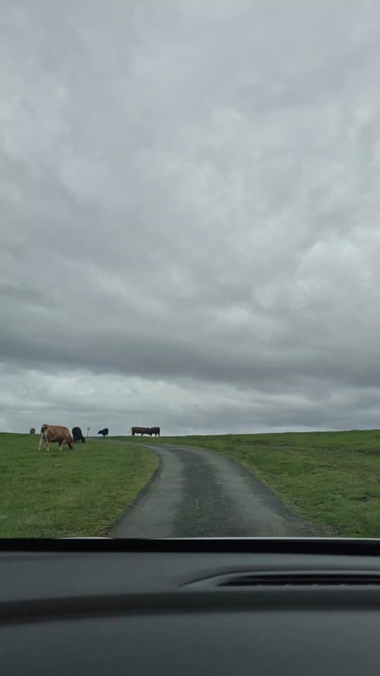 Post 3 by Siobhan Exploring Scotland on TikTok (video)