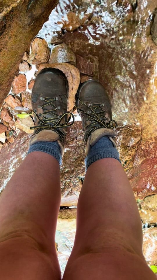 Post 10 by Lois in the North on TikTok (video)