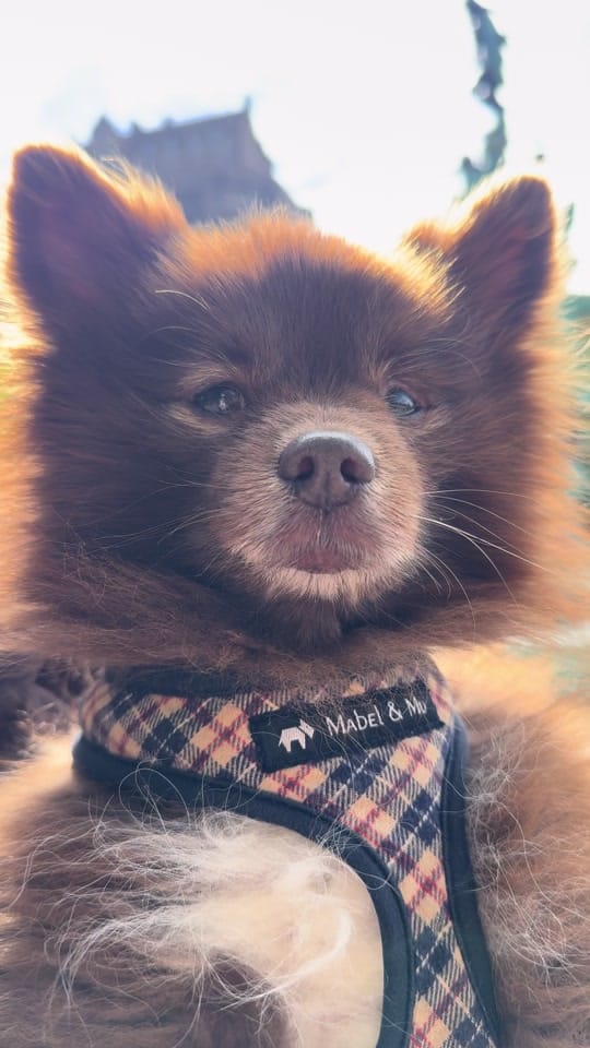 Post 7 by Lois in the North on TikTok (video)