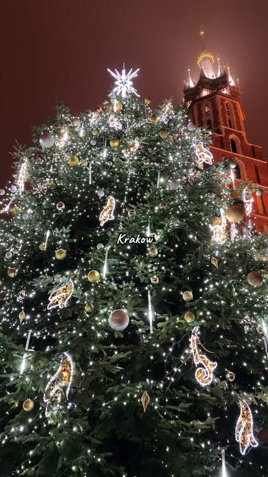 Post 3 by olga.travels on TikTok (video)