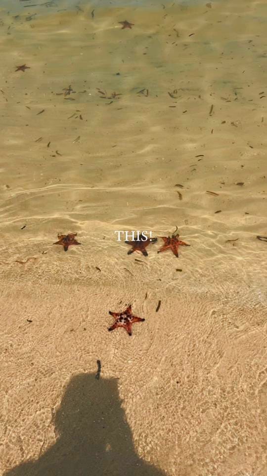 Post 6 by Danny on TikTok (video)