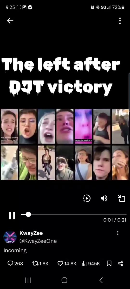 Post 9 by Shannon on TikTok (video)