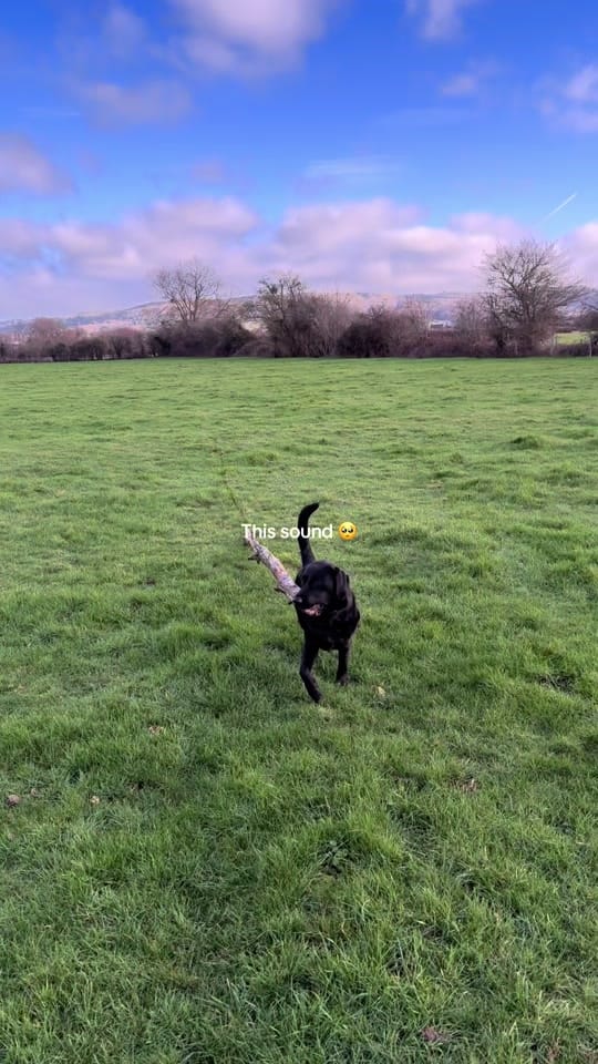 Post 1 by Kate | Adventure 🌎✈️✨ on TikTok (video)