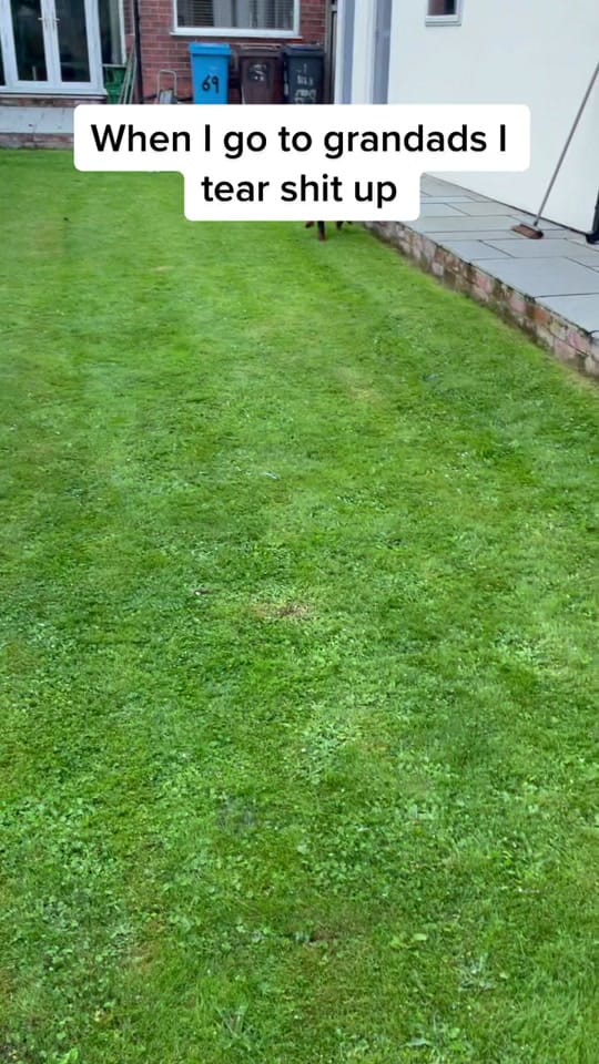 Post 10 by Sarah Steen on TikTok (video)