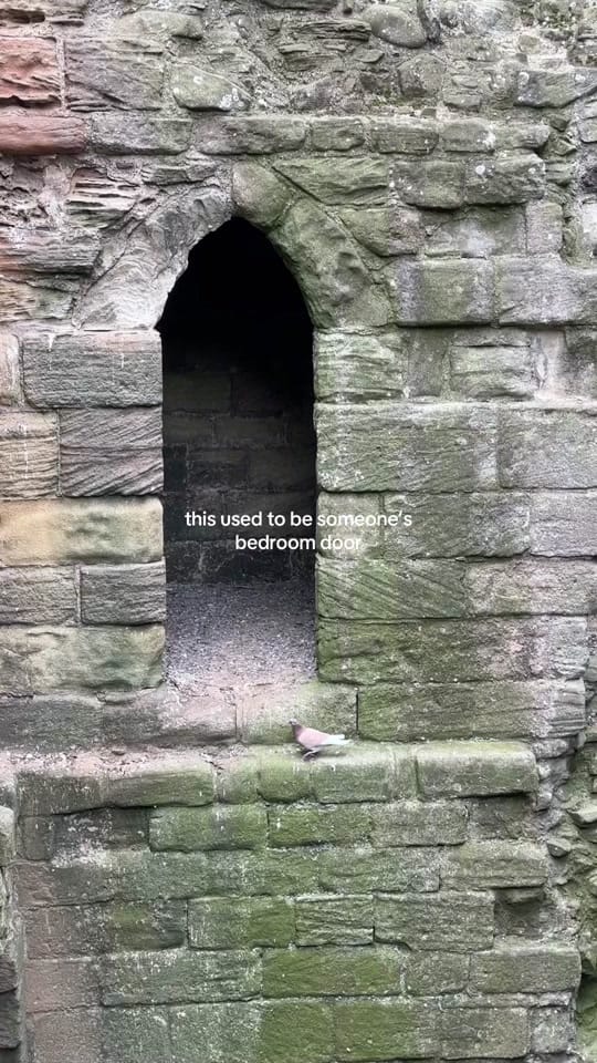Post 9 by Beth on TikTok (video)