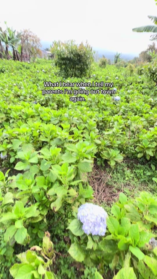 Post 1 by robert_ecoleman on TikTok (video)