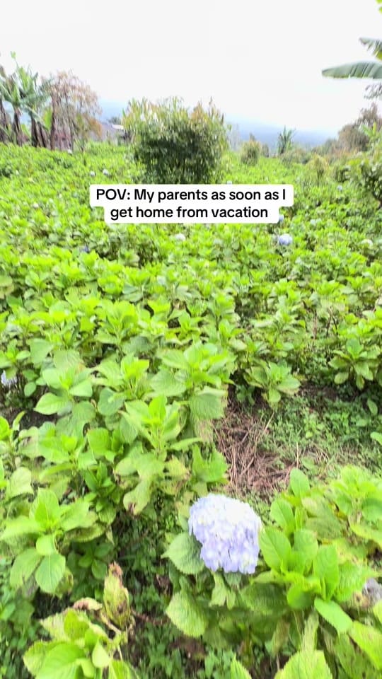Post 5 by robert_ecoleman on TikTok (video)